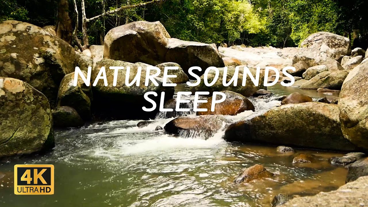 Forest Ambience, Water Sounds, Nature Sounds for Sleeping, Birds ...
