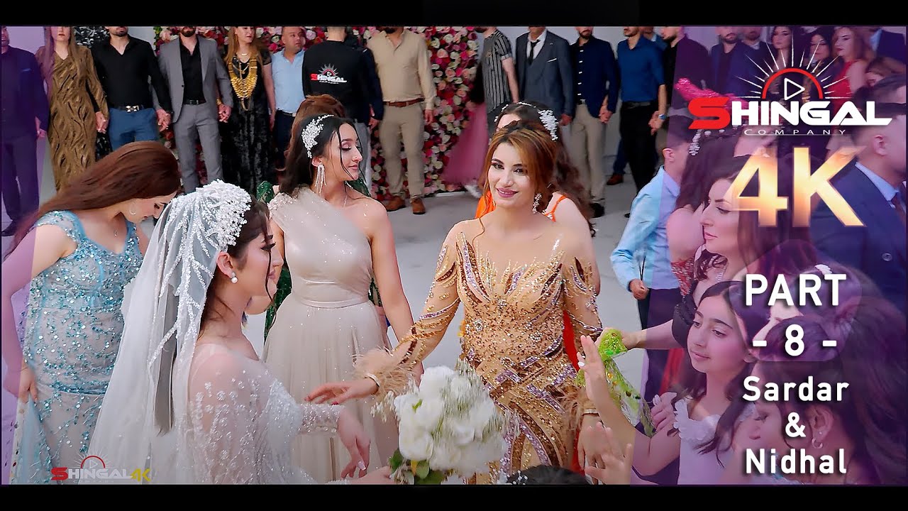 Sardar & Nidhal - Part 8 - عمر سليمان- Omar Souleyman - 4K - by #Shingal_Company