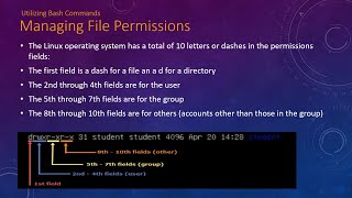 Utilizing Bash Commands Managing File Permissions Cisco 200-201