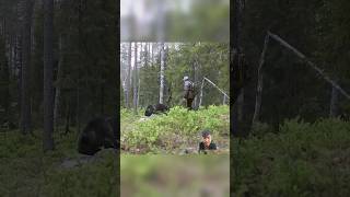 Meeting a bear in the forest #bear #forest #meeting #hunting #bear #wildlife #nature