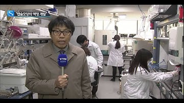 "캡슐모양의 액정 개발" / YTN 사이언스