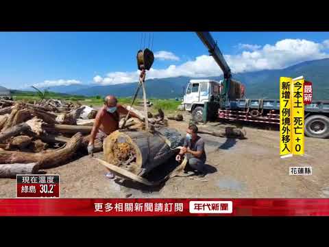 太囂張！ 山老鼠盜紅檜還PO網炫耀　警上門查扣百萬樹材