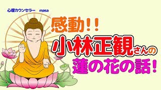【小林正観さん名言】苦しみはギフト。蓮の花の話