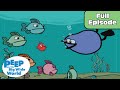 Understanding Bubbles and Quack's Adventure