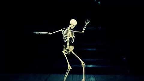 Skeleton dancer / fx guru