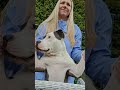POV: You remake Titanic… but your dog steals the main role 😂 #dog #gas #titanic #parodie #viral
