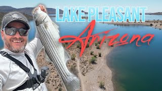 Lake Pleasant shore fishing for white bass and stripers!