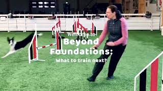 Onemind Dogs - Beyond Agility Foundations What To Train Next