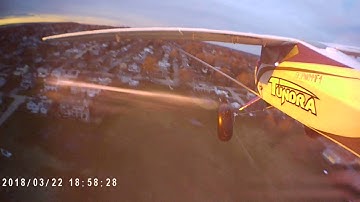 Durafly tundra flying with crows at dusk