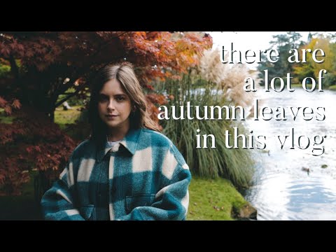 vlogtober 18: autumn leaves + halloween baking