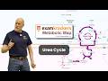 Urea Cycle - 1 Minute Metabolism