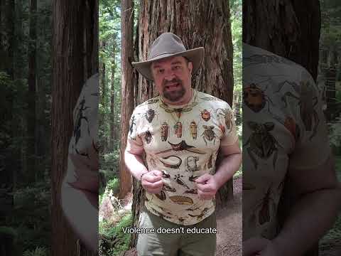 What To Do If You Find A Fawn.   #wildliferescue #naturelovers #hiking