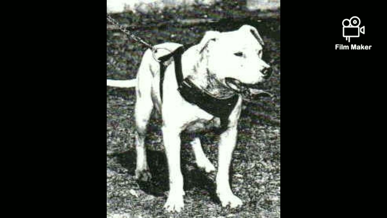 Back to the Wood's Series "Ed Crenshaw" Part 1 