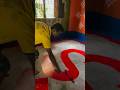 floor paint colour painting ideas 🏡🖌️ colour painting 🖌️🖌️#trending #shortvideo #shortsfeed #shorts