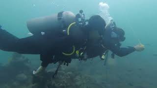 Junior Open Water Scuba Diver January 2023 in Puerto Galera Philippines - 4k