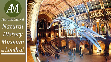 Quali sono i più importanti musei di Londra?