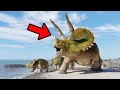 13 Fascinating Triceratops Facts You Need to Know