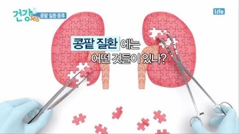 콩팥 질환 종류 / YTN 라이프