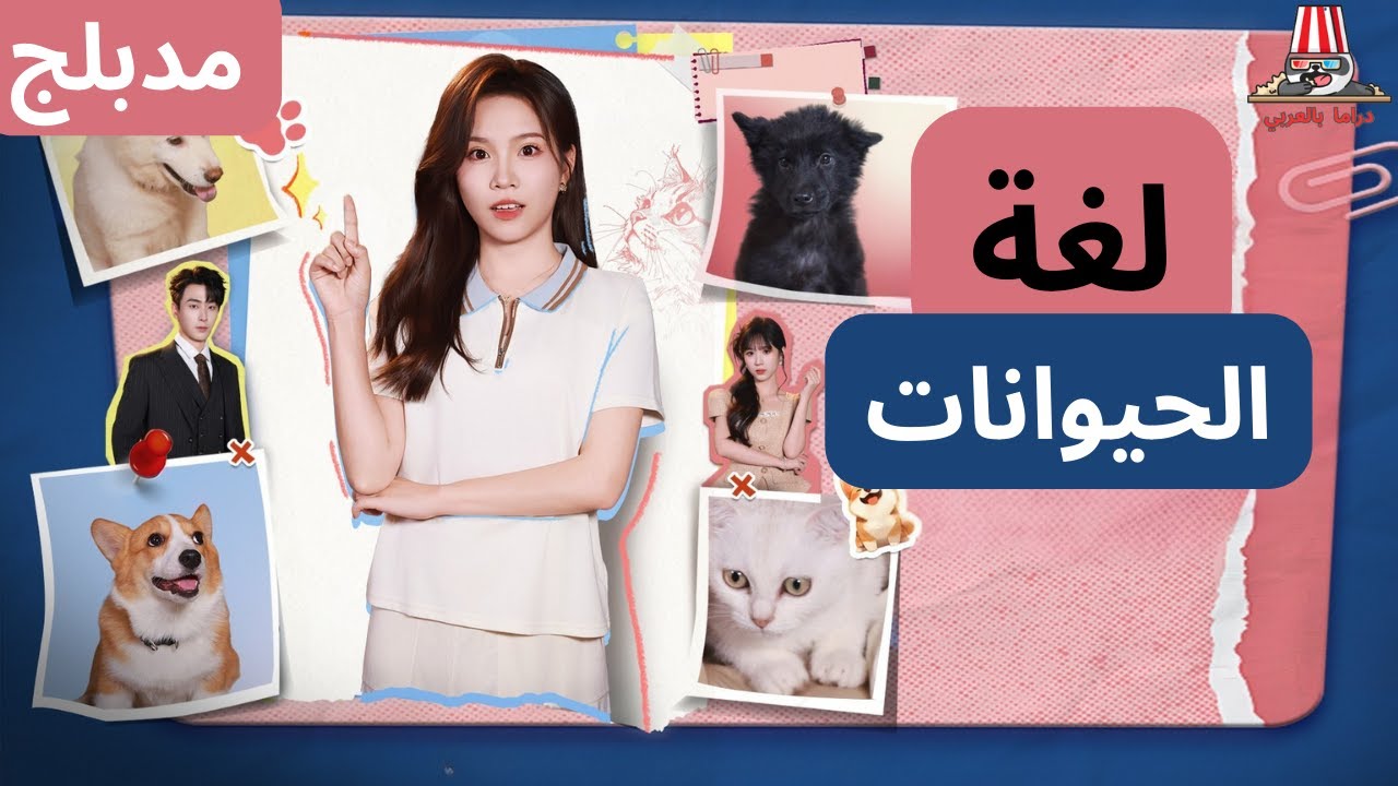 فتاة تفهم لغة الحيوانات فتكتشف خيانة حبيبها - مدبلج -عرض اول - 🔥كامل🔥