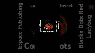 Ladybug Insect Espace Publishing      The Connect dots,