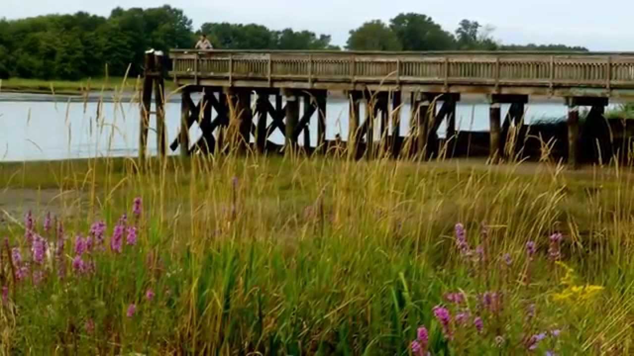 Fraser River Park, Vancouver, BC