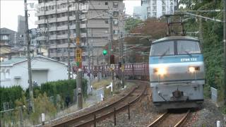JR貨物 EF66 132号機(減光有り) 貨物列車94レ 新井口~西広島 2011.11