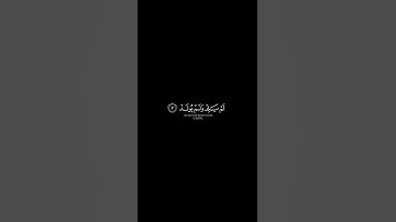 سورة الإخلاص | الشيخ : ماهر المعيقلي 🤍🍃 #سورة_الإخلاص#تلاوة_قصيرة