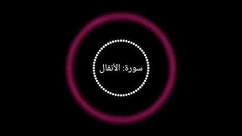صوت القارئ أحمد حاج نجيب
