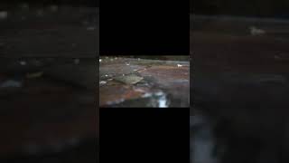 Gentle Rain For Sleeping 1 Minute | Rain On Street For Sleeping, Meditation and Studying