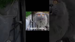 эбанутое видео #15 часть