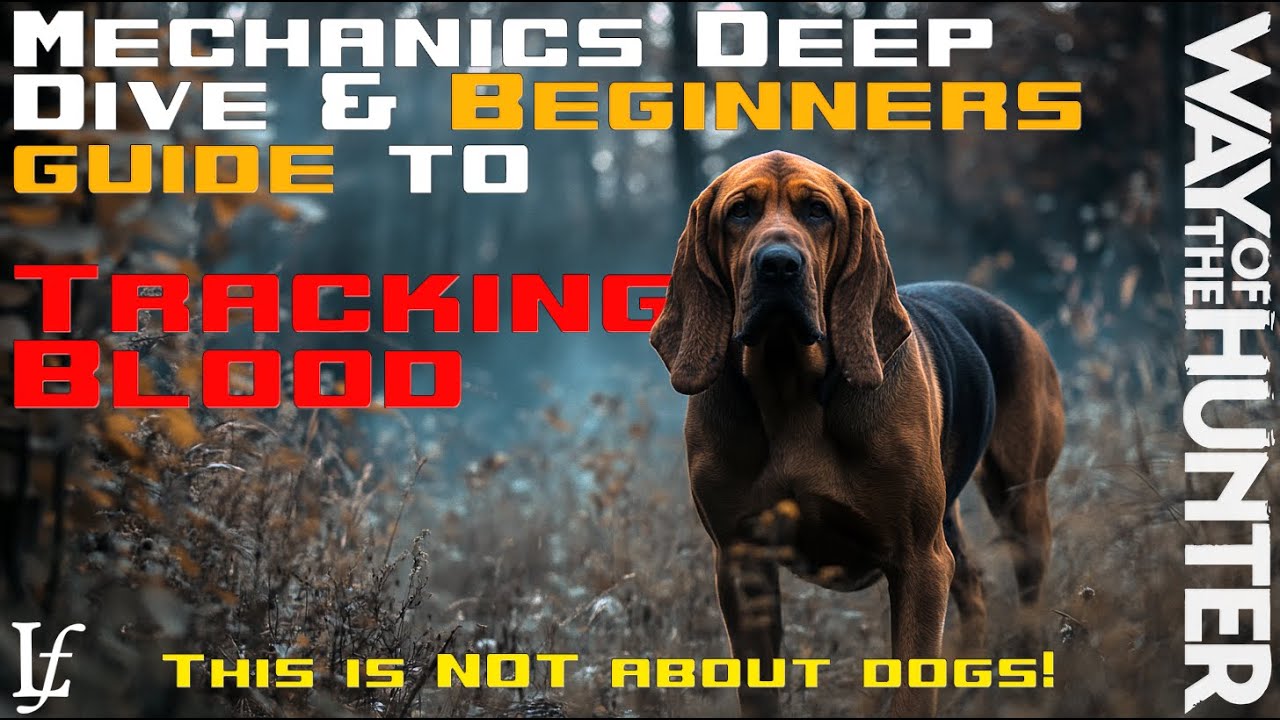 Way of the Hunter - Mechanics Deep Dive and Beginner Guide: Blood Tracking