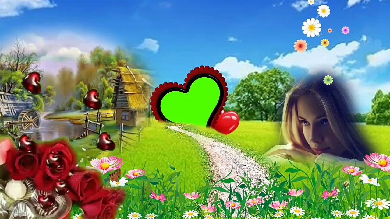 Green screen video || top photo frame hd background || wedding ...