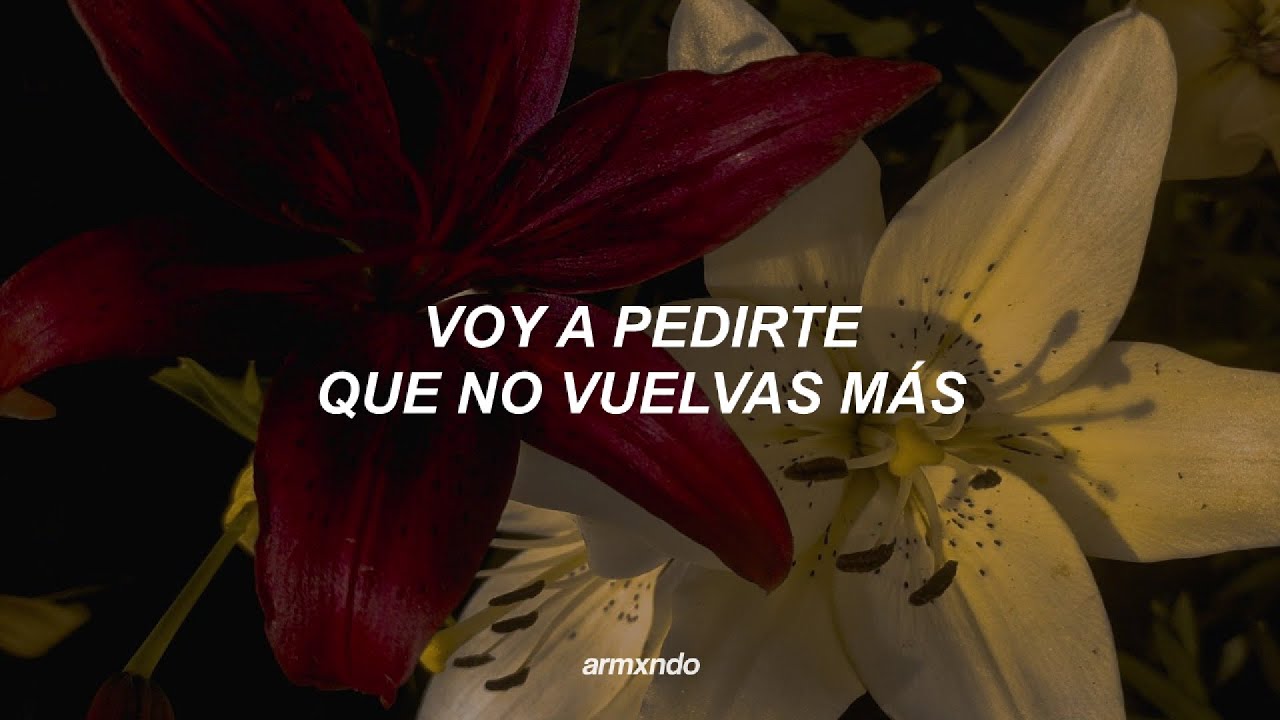 Shakira — No [Letra]