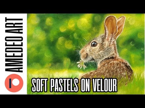 Hare in soft pastels tutorial | Kate Amedeo