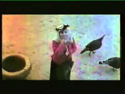 ყველანი ციხეში