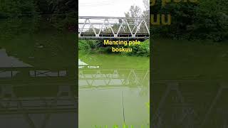 kita mancing ikan belanak liaran lagi boskuu #shortvideo