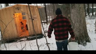 Collecting Maple Sap & Firing Up the Evaporator  Zionville NC