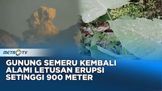 Waspada, Gunung Semeru Alami Letusan Erupsi