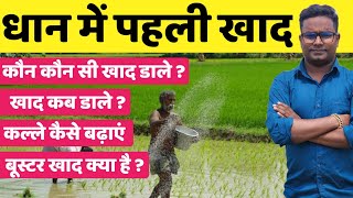 धान‌ में पहली खाद कब कौन सी डालें  Dhan me pahli khad // First Fertilizer for Paddy // कल्ले भी बढाए screenshot 4