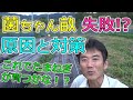 きんちゃん畝づくり、失敗！？　原因と対策　たまねぎを育てる！