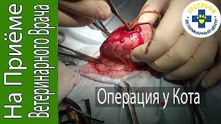 видео Хирургия глаза - Портал о скорой помощи и медицине