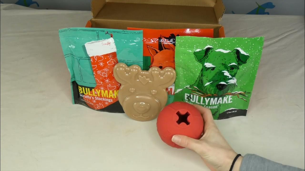 1 Month Subscription - Bullymake Box - A Dog Subscription Box For