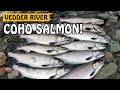 LURE FISHING FOR COHO SALMON - Vedder River Chilliwack BC Canada | Fishing with Rod