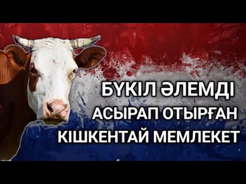 Бейне: Нидерланды қайда орналасқан?