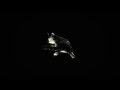 Meaningful Love Slowed 1 Hour 