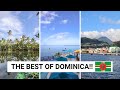 THINGS TO DO IN DOMINICA & TIPS FOR VISITING! | Dominica Vlog!