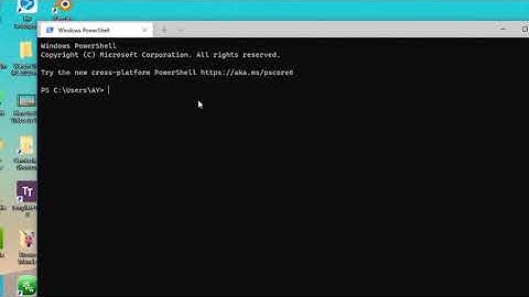 Reset the Windows Terminal to Default Settings | Techrao Lab