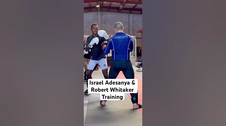 Israel Adesanya and Robert Whitaker training #stylebender
