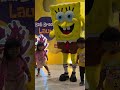 Goyang bersama spongebob lucu #fyp #shorts #viralshorts