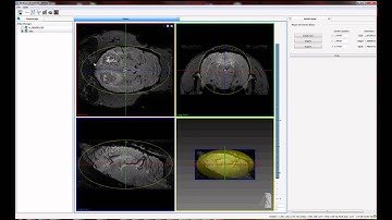 MI-Viewer - Overview